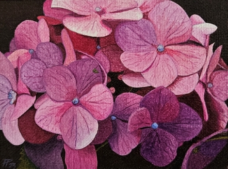 Flores 7